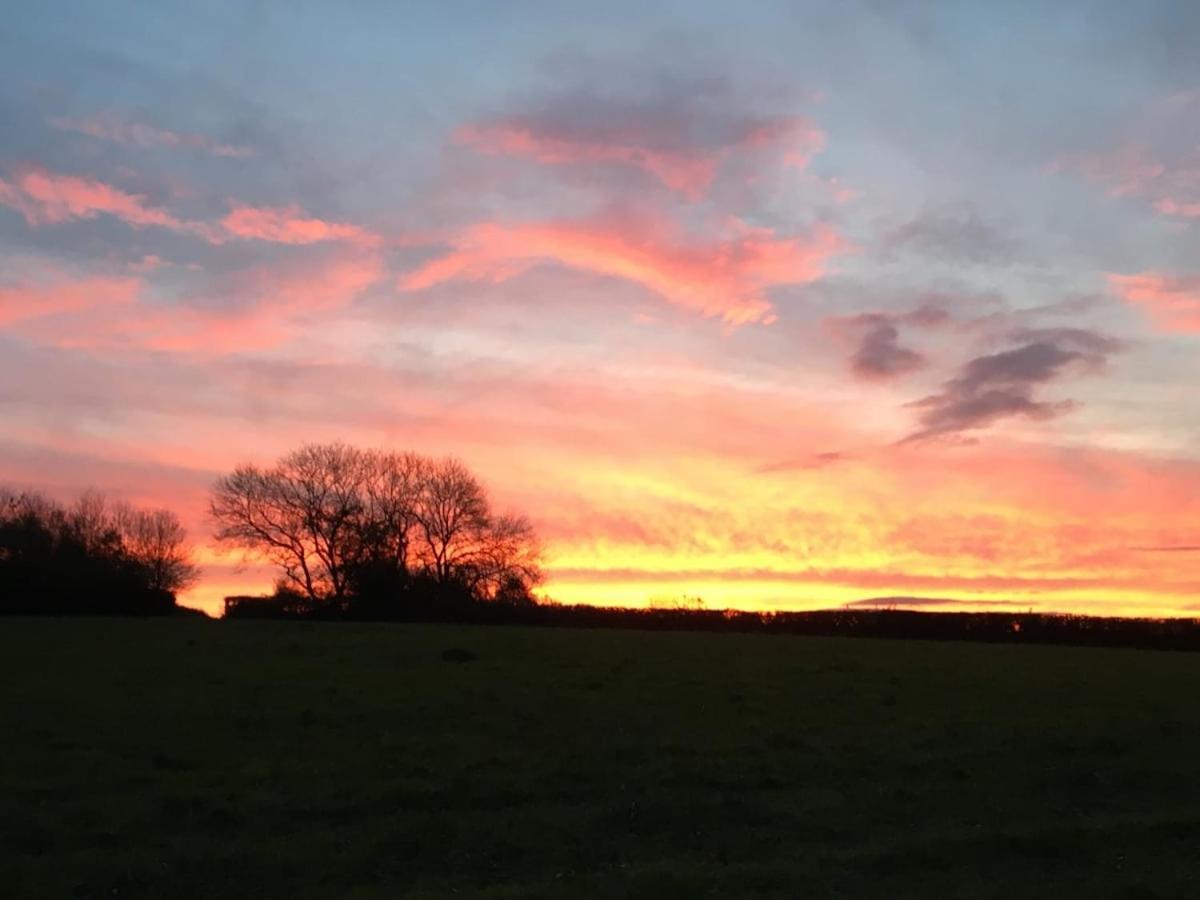 Award Winning Lower Whitsleigh Farm Cottage Roborough Eksteriør bilde