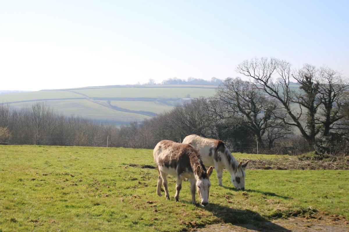 Award Winning Lower Whitsleigh Farm Cottage Roborough Eksteriør bilde